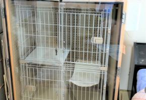 猫の夜鳴き対策がすぐに出来ます。